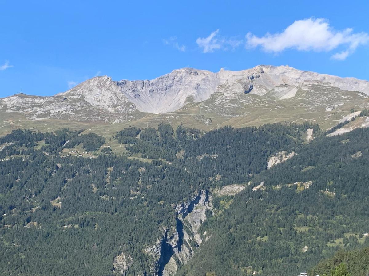 La Jacinthe De Crans Apartment Luaran gambar