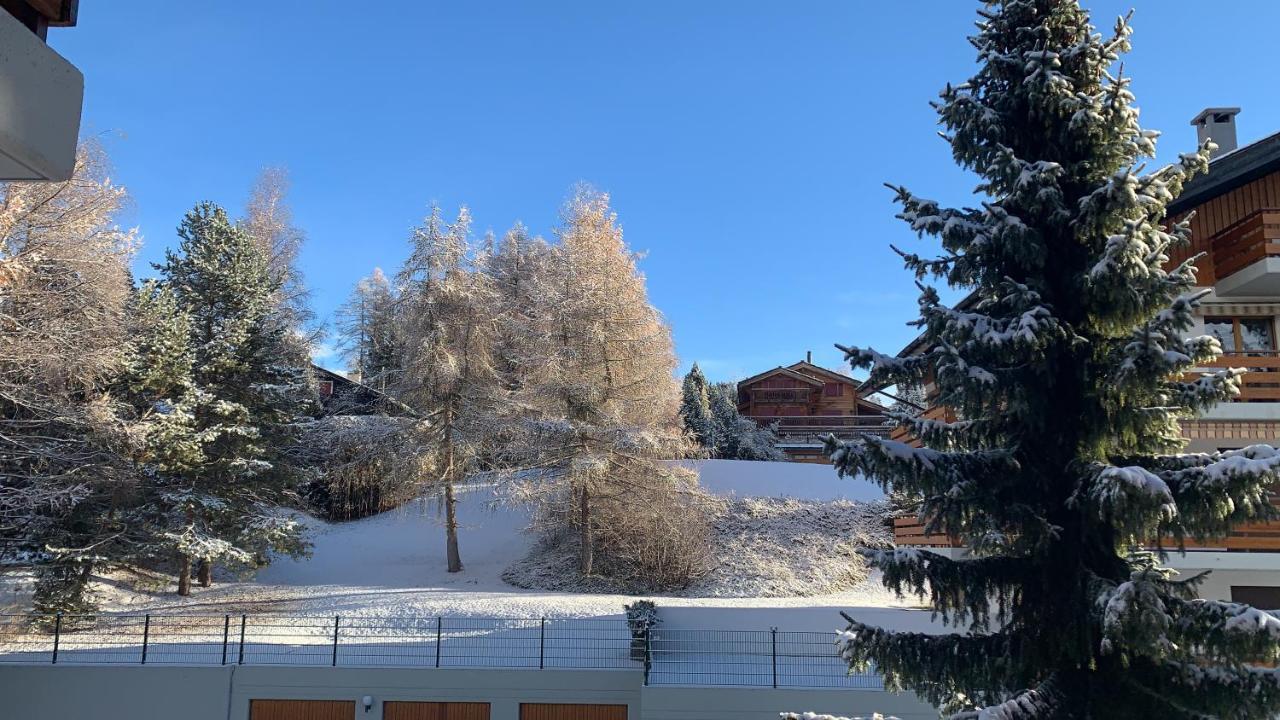 La Jacinthe De Crans Apartment Luaran gambar